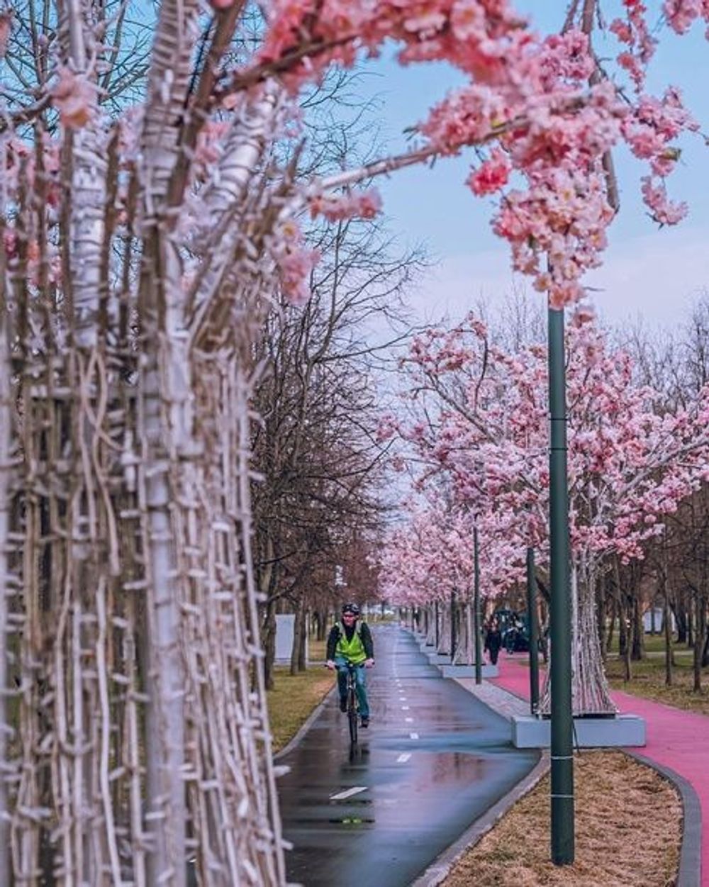 Световое дерево с цветами «Сакура»