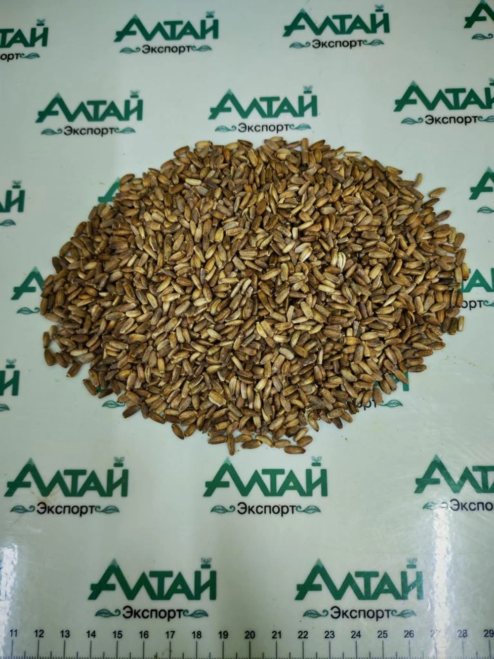 Расторопша пятнистая (семя) Алтай  (мешок 25кг)