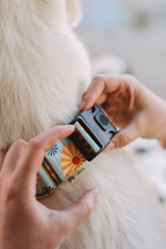 Ошейник Старо-Татарская слобода, наличие