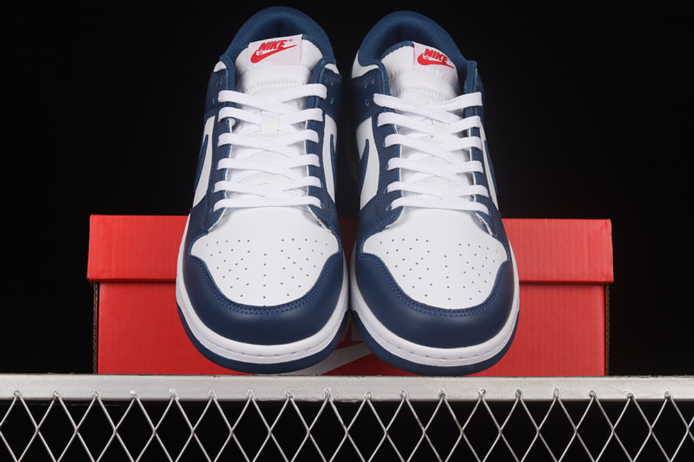 Nike Dunk Low Valerian Blue