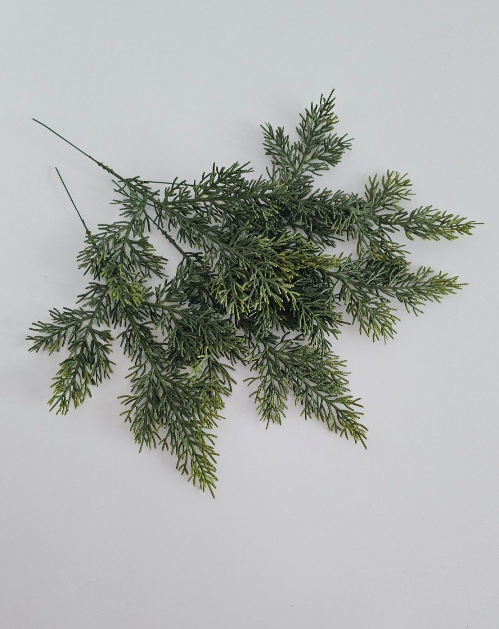 Ветка туи одиночная / Арт 5159