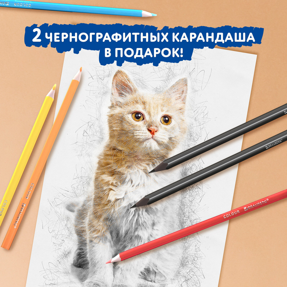 Карандаши цветные BRAUBERG PREMIUM 24 цвета + 2 чернографитных карандаша, трехгранные, грифель 3 мм.