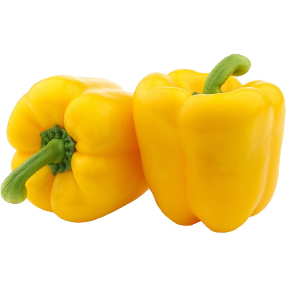23513