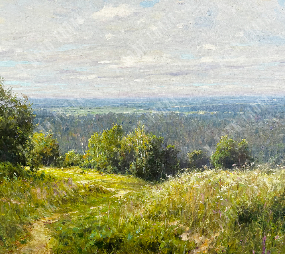 Плотников В.В. Родные просторы. Холст, масло. Россия, 2015 г.