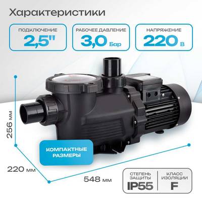 WL-KP2206 - Насос для бассейна 3,0 HP / 2,2 кВт / 30,9 м³/ч / до 247 м³ / 2,5″
