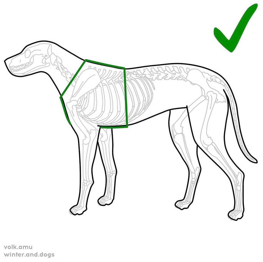 Шлейка Шёпот Панелек