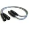 Wireworld Equinox 8 2XLR - 2XLR 5m
