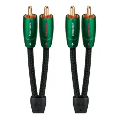 AudioQuest Evergreen 2RCA - 2RCA 0.6m