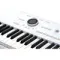 Arturia AstroLab White