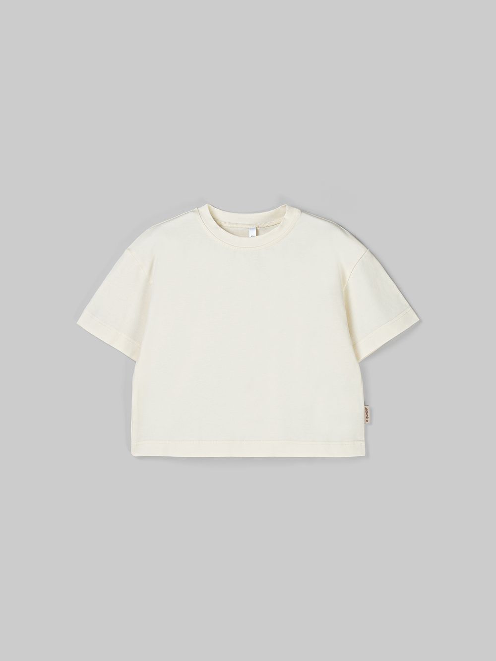 предметное