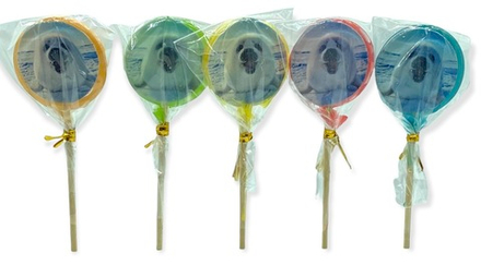 Леденец ручной работы «Нерпочка»