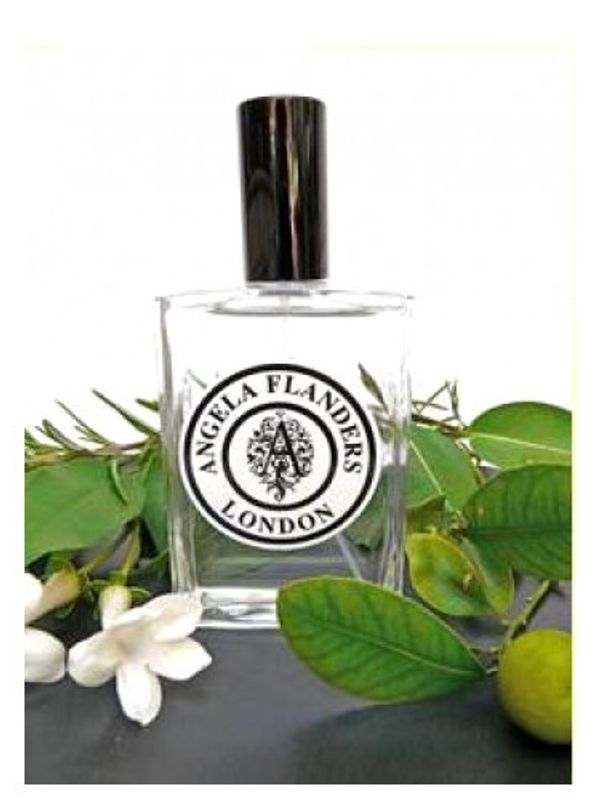 Angela Flanders No.1 Le Premier