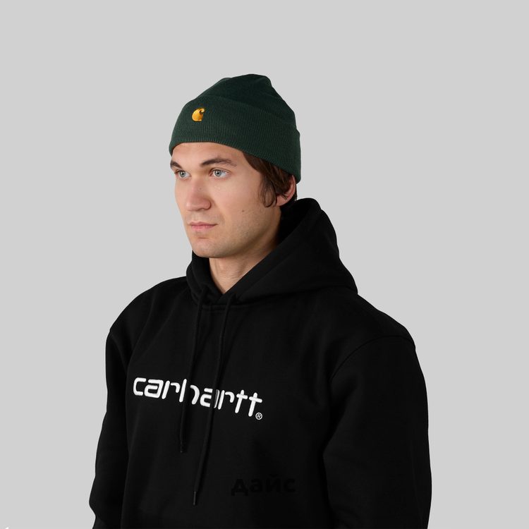 Шапка Carhartt WIP Chase Beanie артикул:I026222_sycamore_tree - купить в магазине Дайс