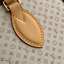 Louis Vuitton Onthego PM