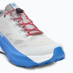 Кроссовки для бега Salomon Pulsar lunar rock/white/french blue