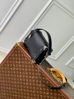 Louis Vuitton Side Trunk MM
