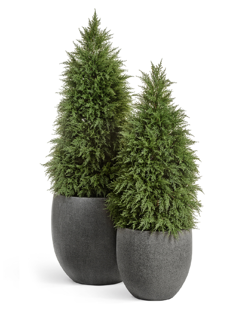 Кашпо TREEZ Effectory Stone Большой округлый конус Тёмно-серый камень д-70 см, в-68 см 41.3319-01-026-GR-70