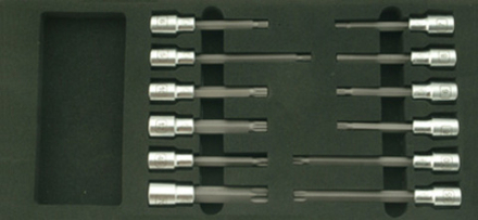 Набор торцевых головок с профилем "Torx" СТАНКОИМПОРТ в ложементе, BX015