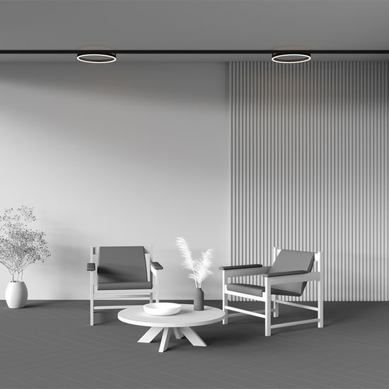 Трековый светильник Technical TR227-2-24W3K-B