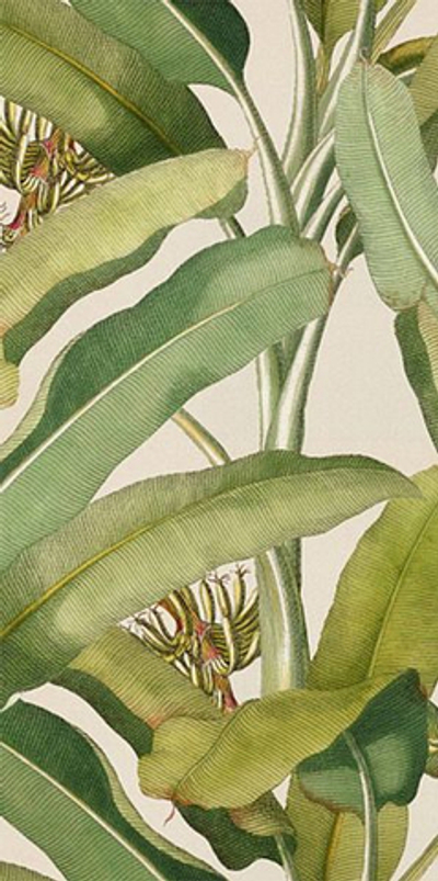 Керамогранит PAPER41 PRO Musa 4100336