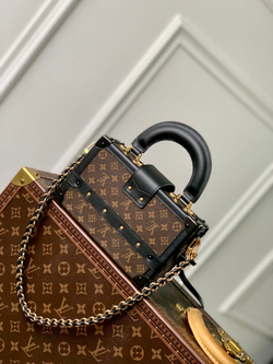 Louis Vuitton Petite Malle Capitale Bag