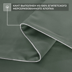 Комплект постельного белья Однотонный Сатин Премиум OCP017