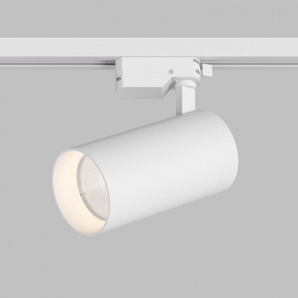 Светильник на штанге Denkirs  DK6455-WH