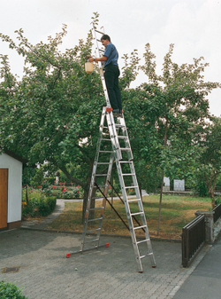 TRIBILO Универс.лестница из 3-х частей,3*9 перекладин(129673)