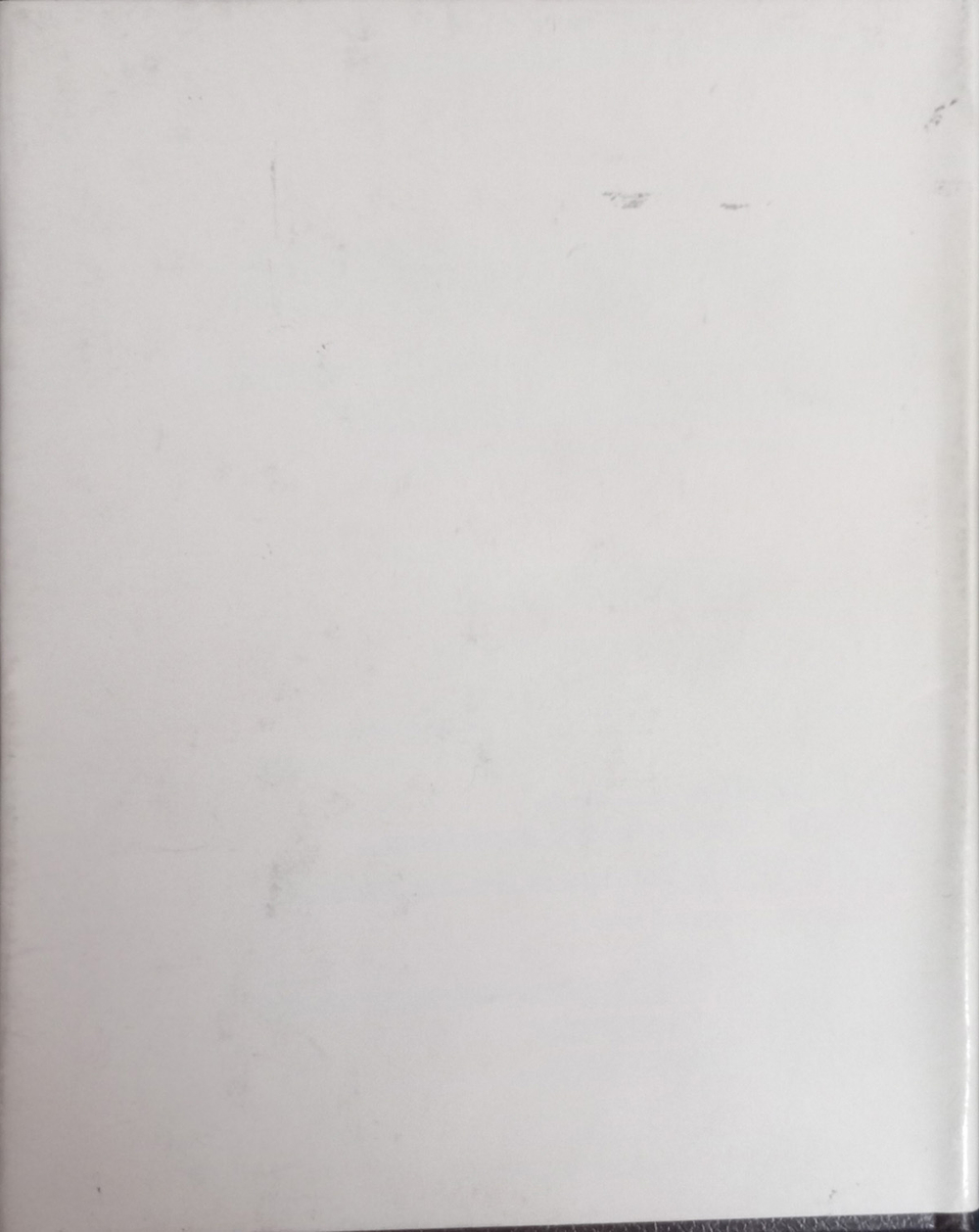 Джим Моррисон: Стихи, песни, заметки / Сергей Климовицкий