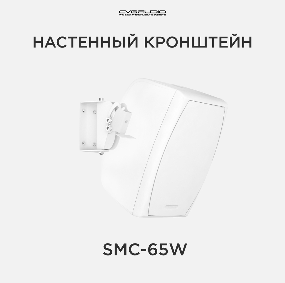 CVGAUDIO SMC-65W Универсальный настенный кронштейн для корпусных АС серий ODF/RF/NF, поворот по двум осям, цвет белый