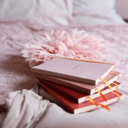 Записная книжка Rhodiarama в мягкой обложке A5 в точку 90 гр Rose smoke Пыльная роза (117439C) 3