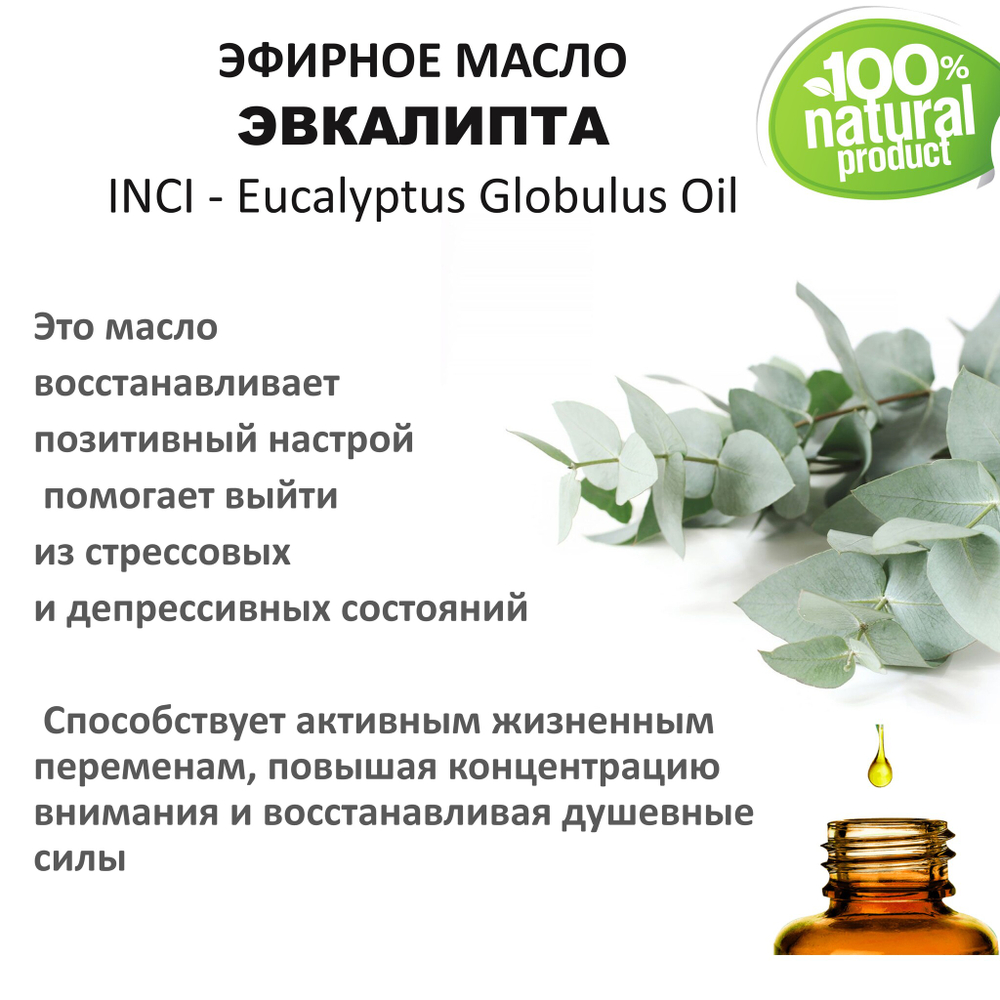 Эфирное масло эвкалипта / Eucalyptus Globulus Oil