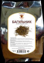 Багульник (побеги)