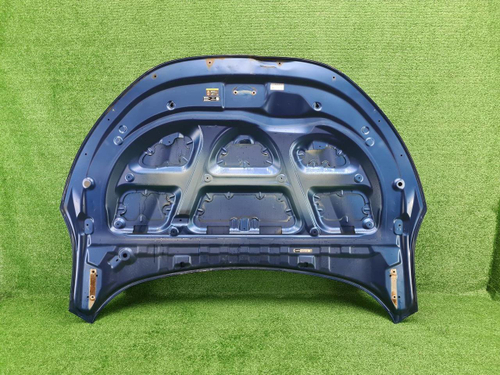 Капот Byd Tang 2 (2021-н.в.)