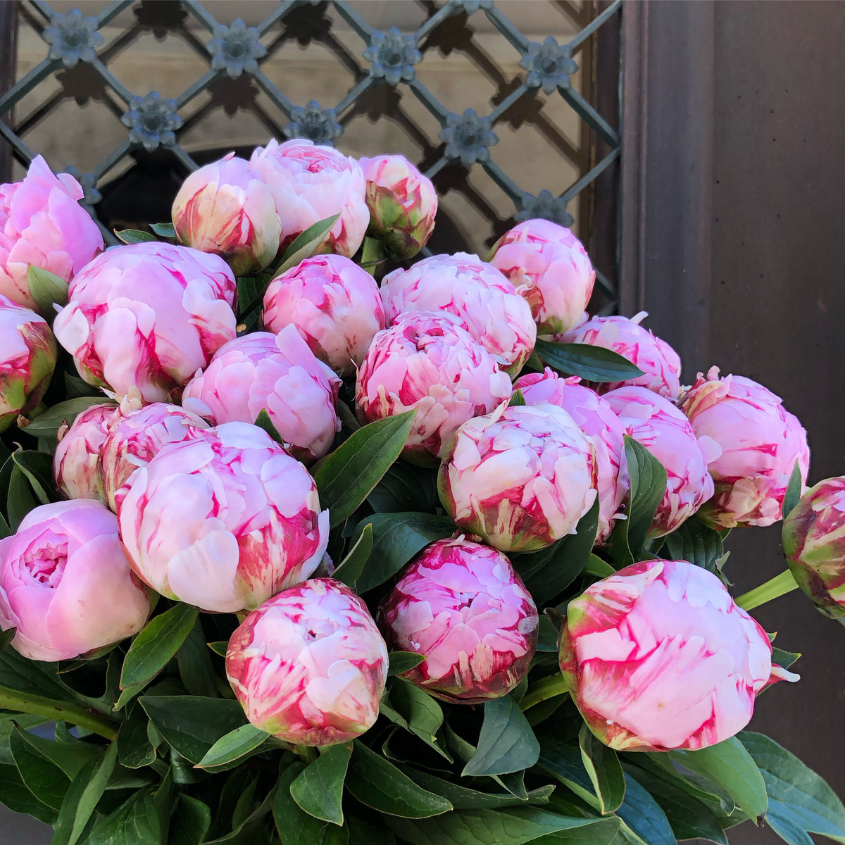 🌸♛ Сара Бернар (Sarah Bernhardt) — букет ароматных пионов — 8 марта у Феи