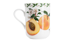 Кружка Абрикос в подарочной упаковке Maxwell & Williams