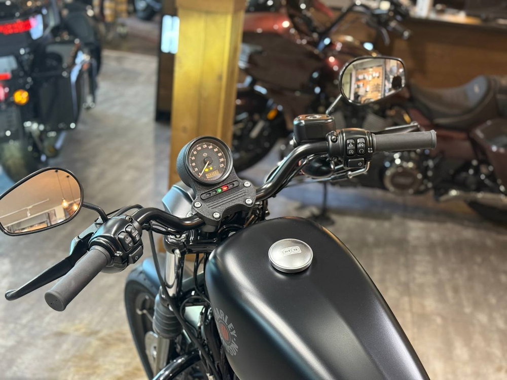 Harley-Davidson Iron 883 (2019)