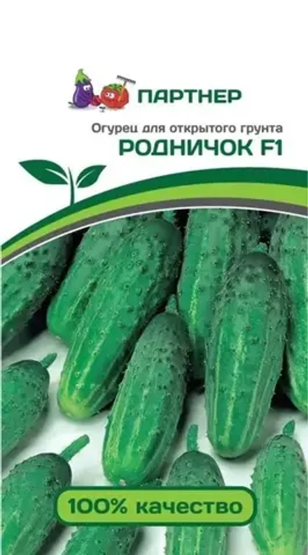 Огурец Родничок