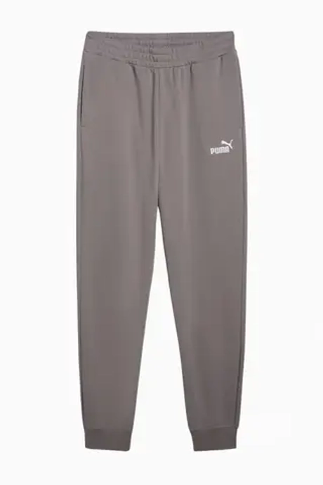 Штаны Puma Essentials Logo No. 1 - серый