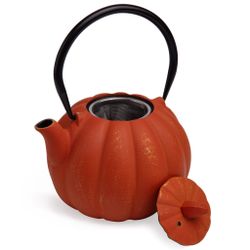 ЗАВАРОЧНЫЙ ЧАЙНИК ЧУГУННЫЙ С ЭМАЛИРОВАННЫМ ПОКРЫТИЕМ ВНУТРИ 900 МЛ