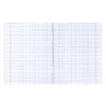 Тетрадь, 48 л, клетка, ЦВЕТЫ /А5