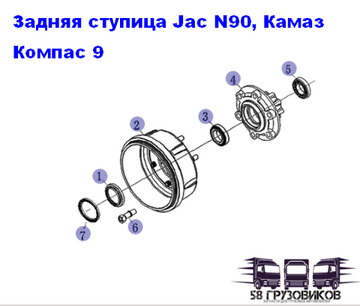 Задняя ступица