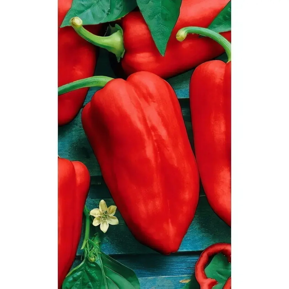 Семена Перец сладкий Казачок (УД) Е/П