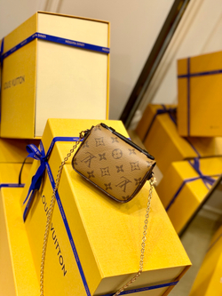 Louis Vuitton Micro Metis
