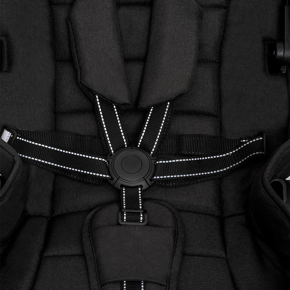 Детская коляска Indigo Desire 3 в 1 черный