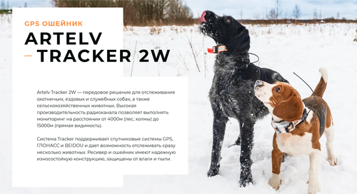 GPS ошейник Artelv Tracker 2W с базовой станцией (AT2W)