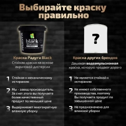 Краска Радуга Black для стен и потолков черная 0,9 л