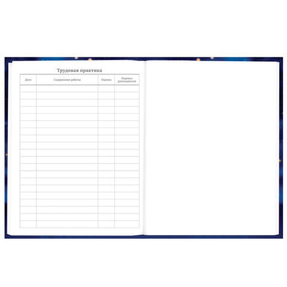 Дневник 5-11 класс 48 л., твердый, BRAUBERG, выборочный лак, с подсказом, "Бабочки", 107198