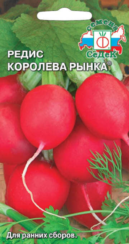 Редис Королева Рынка 3г/ск/19-21дн/СеДеК