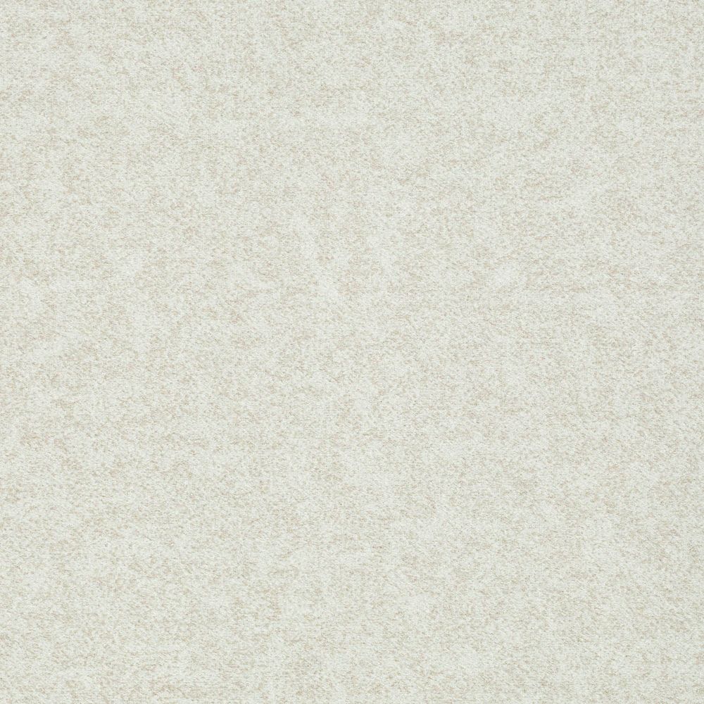 Велюр Пума (Puma) 03